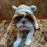 Brian Towle - @brianltowle - Instagram