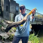 Brian Towne - @brian_towne - Instagram