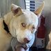 Brian Townsend - Facebook