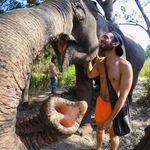 Brian Daniel - @brian_trager - Instagram