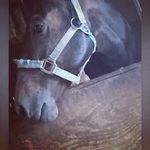 Brian trail ride - @daddy_chill_2nd_ - Instagram