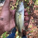 Brian trail ride - @daddy_chill_2nd - Instagram