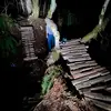 brian’s backyard trail builds - @brians_trail_builds - TikTok
