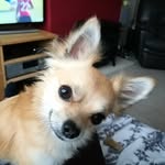Brian Trott - @brian_trott169 - Instagram