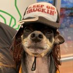 Brian Trout - @anthrotrout - Instagram
