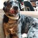 Brian Trudeau - Facebook
