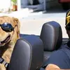 briantrudeau376 - @briantrudeau376 - TikTok