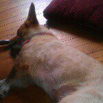 Brian Truman - @btl23021 - Instagram