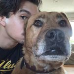 Brian Truong - @brian_oldsoul - Instagram