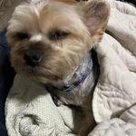 Brian Truong - @brian._.truong - Instagram