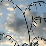 Brian Truscott - @brian.truscott.96 - Instagram
