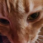Brian Trussell - @trussell_brian - Instagram
