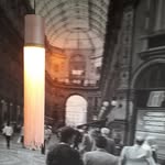 Brian Trusty - @trusty.brian - Instagram