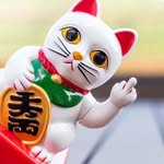 Brian Tse - @btch648 - Instagram