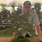 Brian Tuel - @bisforbonsai - Instagram