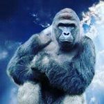 Brian Tullos - @oldgregg990 - Instagram