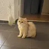 brianhtun - @brianhtun - TikTok