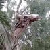 Brian Tunks - Facebook
