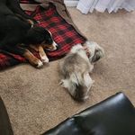 Brian Turnbow - @turnbow_brian - Instagram