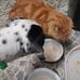 Bryan Turton - Facebook