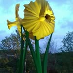 brian tweedy - @tweedy.brian - Instagram