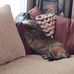 Brian Tyran - Facebook