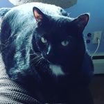 Brian uber - @btujr1979 - Instagram