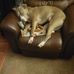 Brian Uebel - Facebook