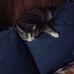 Brian Ulman - Facebook