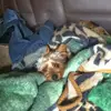 Brian Unruh786 - @brianunruh786 - TikTok