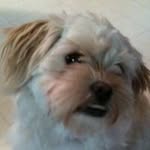 Brian Utterback - @brianutterback - Instagram