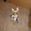Brian Utterback - @big.b.127 - TikTok