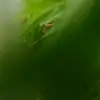 brianutza01 - @brianutza - TikTok