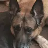 Brian Valenti - @brian.valenti - TikTok