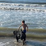 Brian Vandenberghe - @brian.vandenberghe1 - Instagram