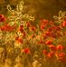 Brian Vang4 - Facebook