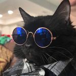 Brian VanOver - @onecagedtiger - Instagram