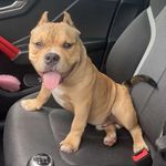 Brian vanover - @brian_vanover1 - Instagram