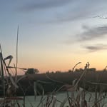 Brian VanOverbeke - @vanoverbekebrian - Instagram