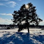 Brian Vermillion - @brian.vermillion.58 - Instagram
