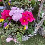 Brian Vibert - @brian.vibert - Instagram