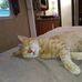 Brian Vicich - Facebook