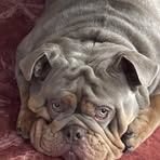 Brian Vinyard - Facebook