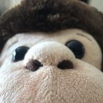 Brian Vo - @brian.123__ - Instagram