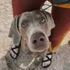 Brian Vo - @brian.vo73 - TikTok