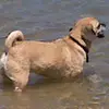 bmarcello575478 - @brianvoss55 - TikTok