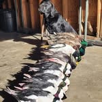 Brian Wacker - @bbbwacker - Instagram