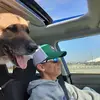 Brian Waite - @brianwaite0 - TikTok
