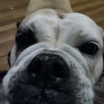 Brian Waits - @brian.waits - Instagram