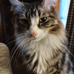 Brian Wallick - @wallickbrian59 - Instagram